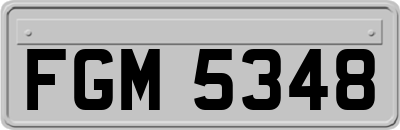 FGM5348