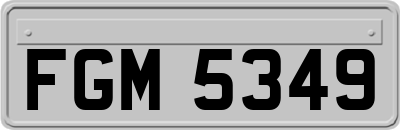 FGM5349