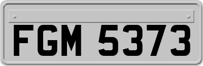 FGM5373