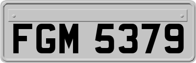 FGM5379