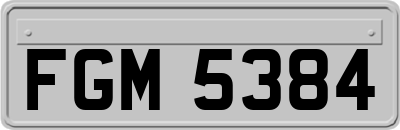 FGM5384