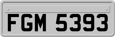 FGM5393