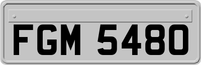 FGM5480