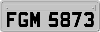 FGM5873