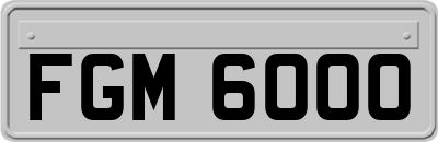 FGM6000