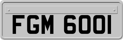 FGM6001