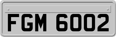 FGM6002