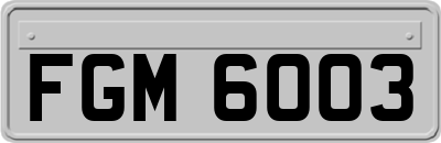 FGM6003