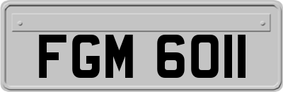 FGM6011
