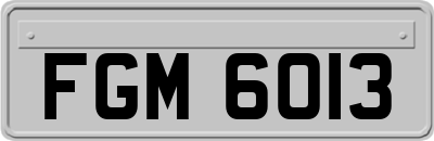 FGM6013