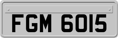 FGM6015