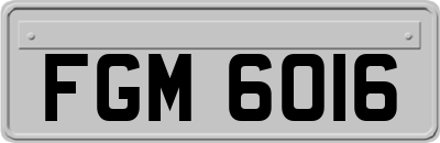 FGM6016