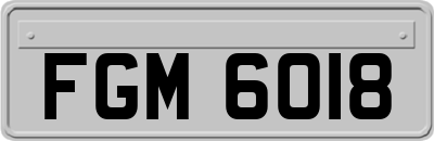 FGM6018