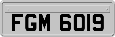 FGM6019