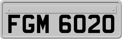 FGM6020