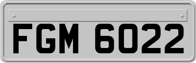 FGM6022