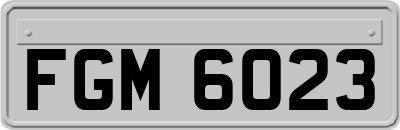 FGM6023
