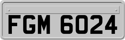 FGM6024