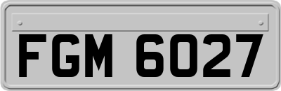 FGM6027