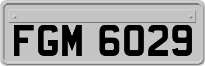 FGM6029