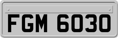 FGM6030