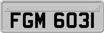 FGM6031