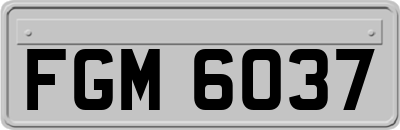 FGM6037