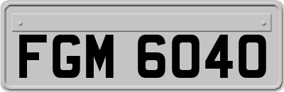 FGM6040