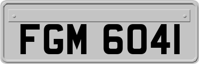 FGM6041