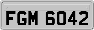 FGM6042