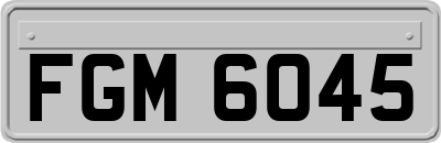 FGM6045