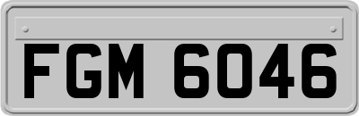 FGM6046