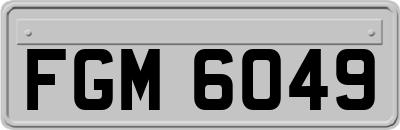 FGM6049