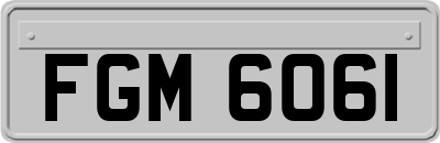 FGM6061