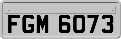 FGM6073
