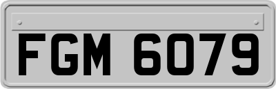 FGM6079