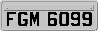FGM6099