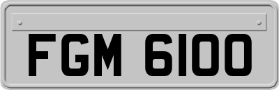 FGM6100