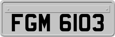 FGM6103