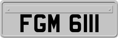 FGM6111
