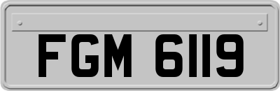 FGM6119