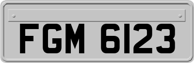 FGM6123