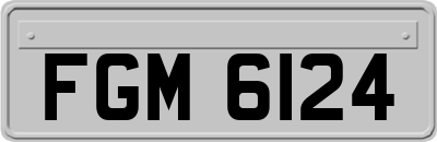 FGM6124