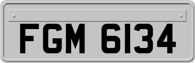 FGM6134