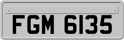 FGM6135