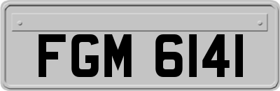 FGM6141