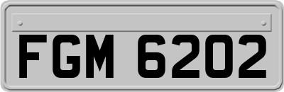 FGM6202