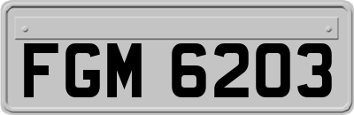 FGM6203