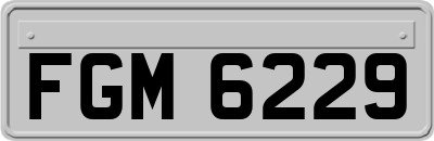 FGM6229
