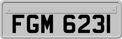 FGM6231